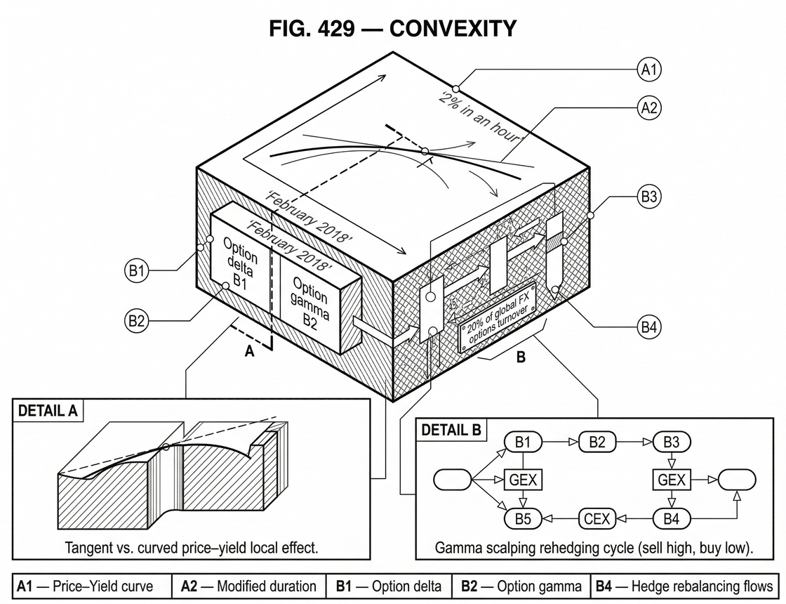 What Is Convexity? How Curvature Shapes Bonds, Options, and Hedging