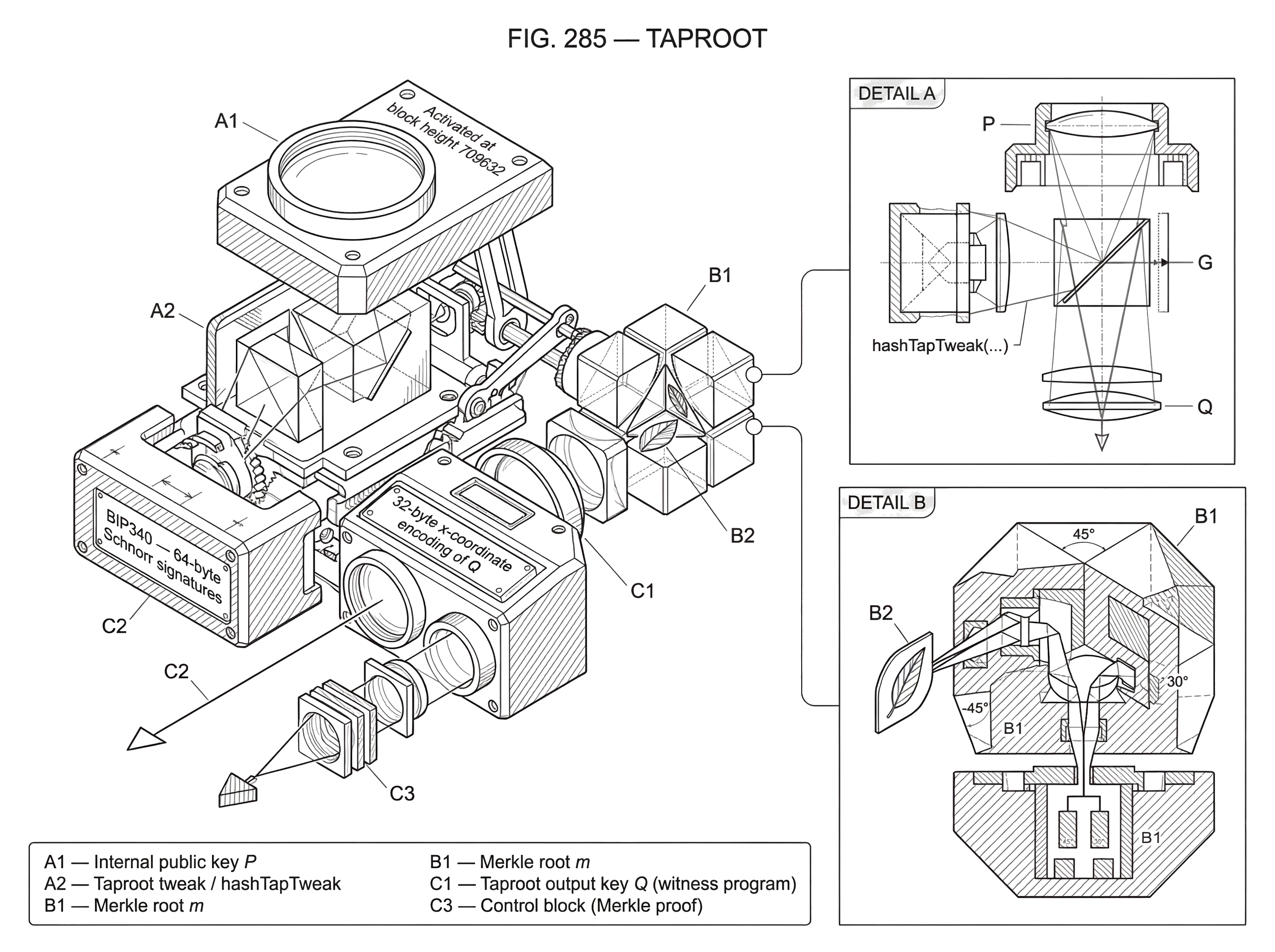 What Is Taproot? hero image