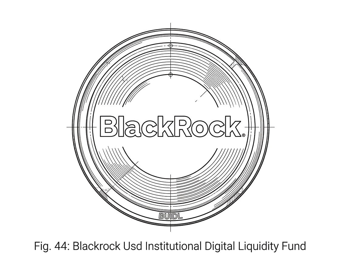 What is BlackRock USD Institutional Digital Liquidity Fund