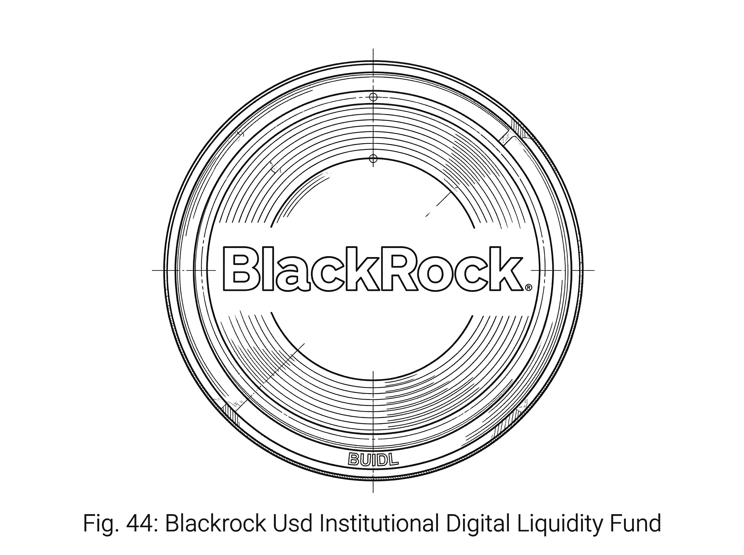 What is BlackRock USD Institutional Digital Liquidity Fund hero image