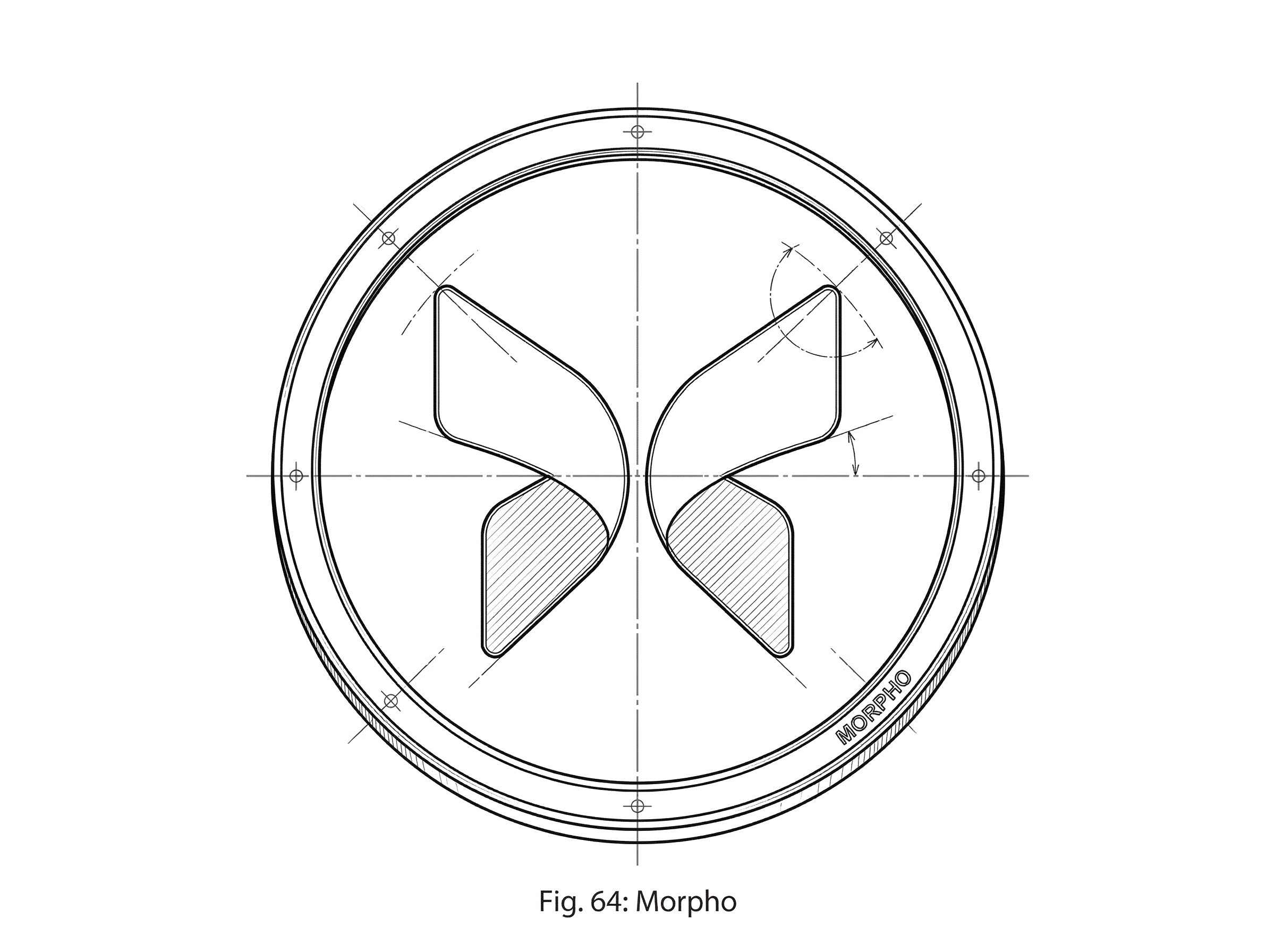 What is Morpho hero image