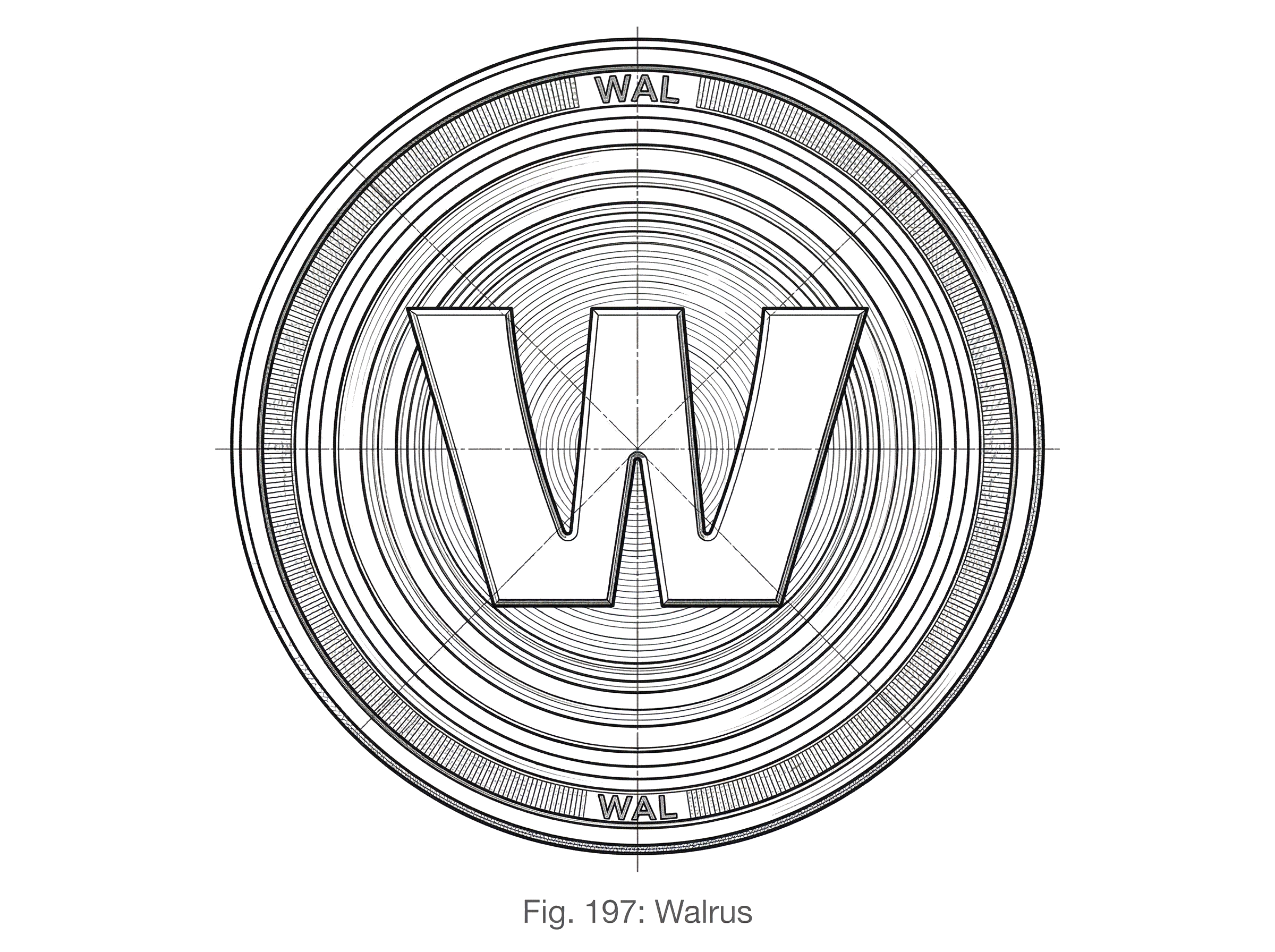 What is Walrus hero image